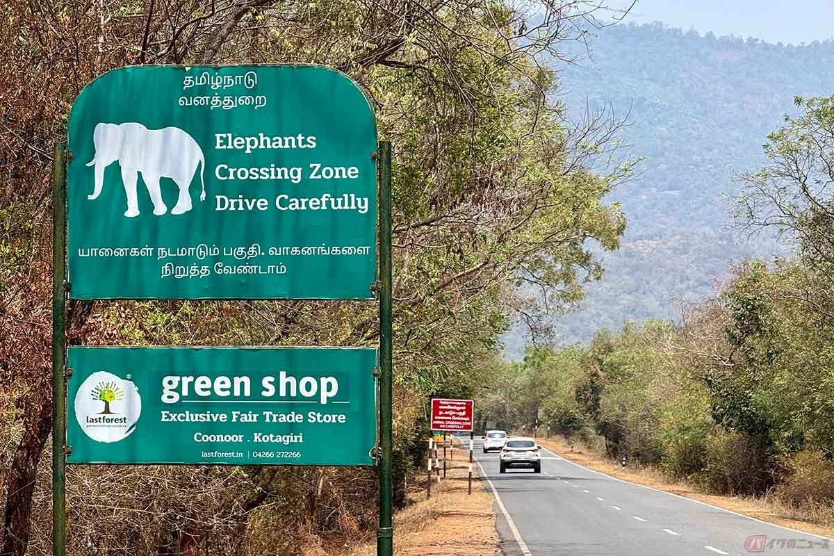 南インドの西部に位置する世界遺産「西ガーツ山脈」は野生動物の宝庫。ゾウやトラの生息域で、動物注意の看板が多く見られます