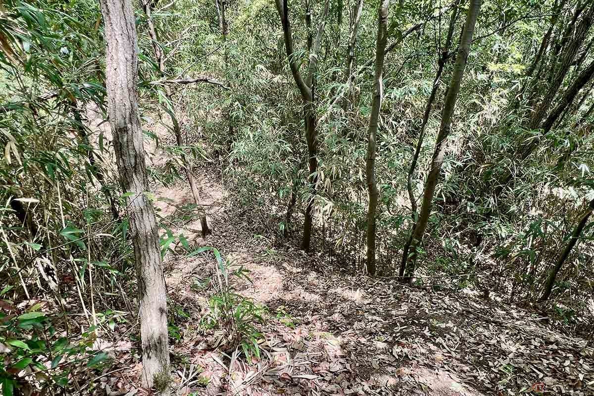 現在は笹や木々にに覆われているが、空堀や堀切と思われる遺構も残っていた