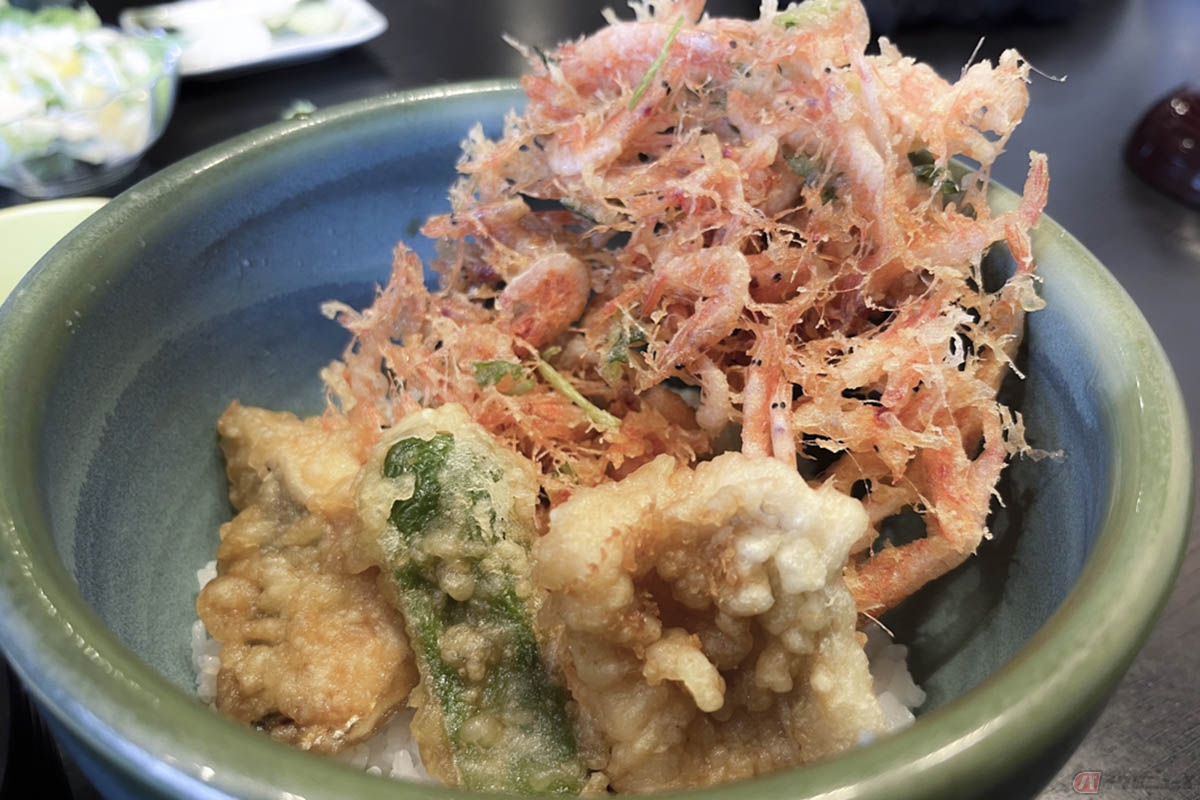 静岡県静岡市の由比にあるグルメスポット「くらさわや」が提供する「しずまえ丼」。桜えびのかき揚げと地魚の天ぷらが乗せられています
