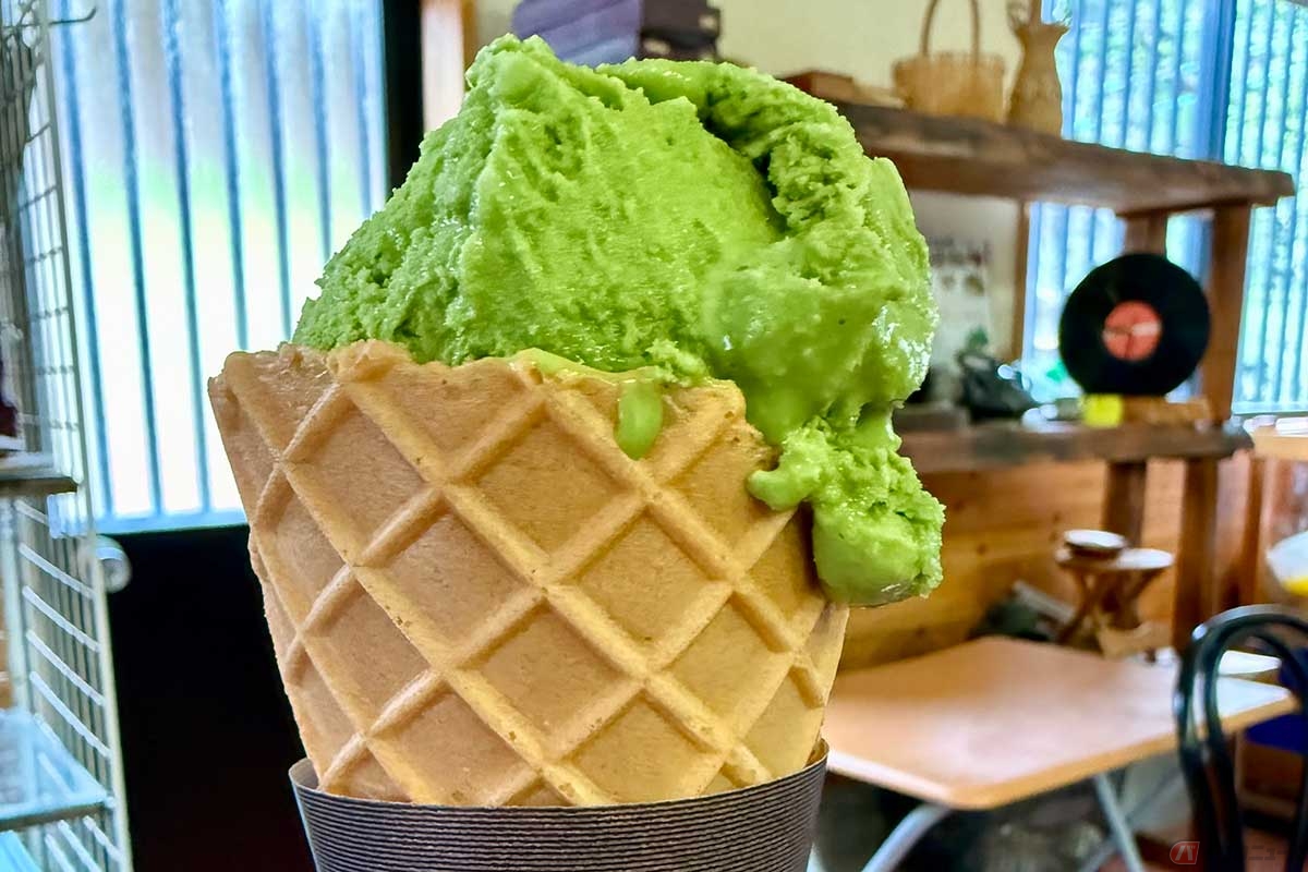 高千穂河原にある「神宮前茶屋」の看板メニュー「抹茶アイスクリーム」は霧島のお茶を使用した贅沢な一品