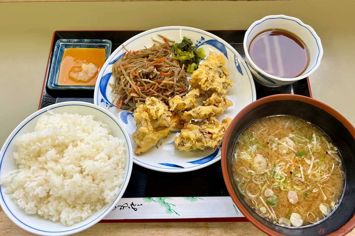中央道「初狩PA」(上り)で見つけた全体的に茶色の「初狩田舎定食」(840円)を実食。その味は素朴で美味しく、格別なものだった