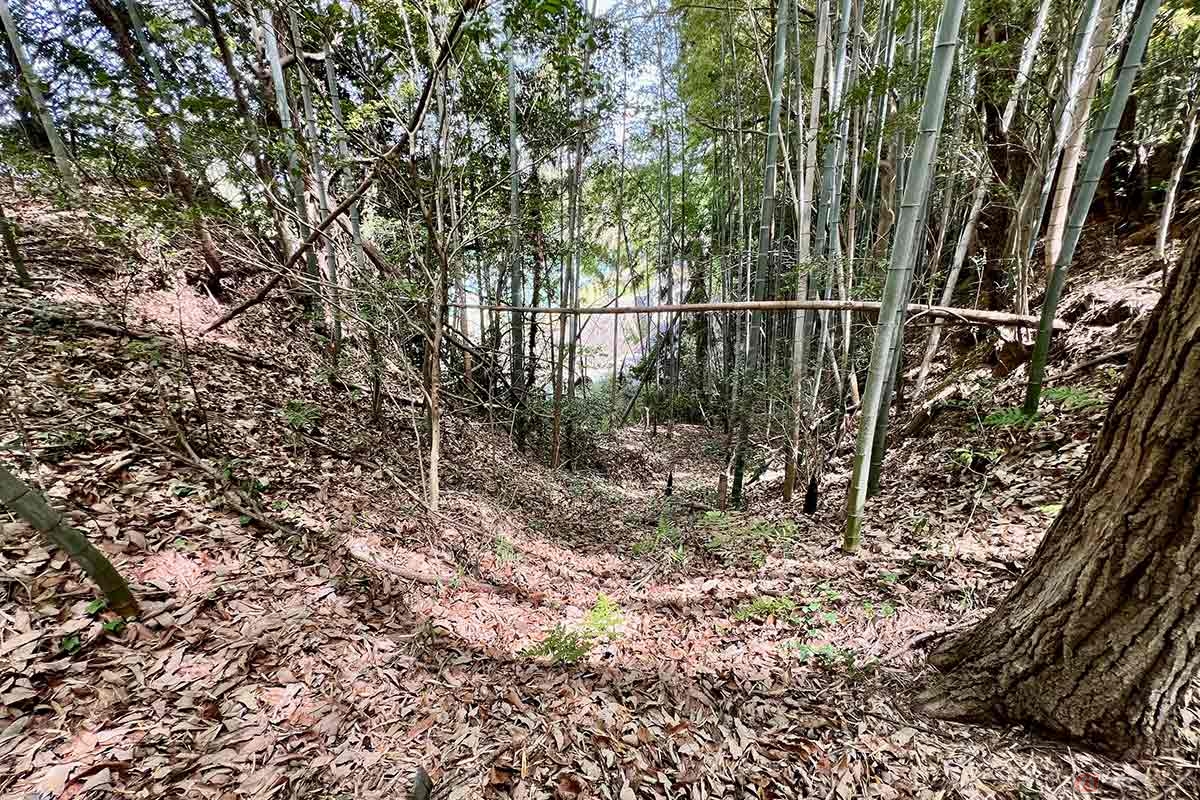足元に気をつけながら小道を進むと堀切の跡らしきものも発見。そのすぐ先にはお墓や道路が見えていて、決して山深くないところだが、山城らしい遺構が残されている