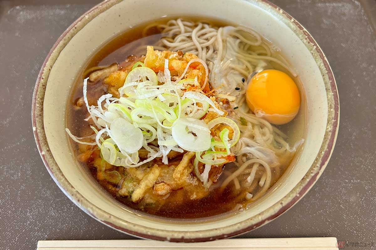 東名高速「中井PA」(下り)で「かき揚げ天そば(玉子入り)」(790円)をオーダー。濃いめのつゆとたっぷりの刻みネギ、かき揚げと玉子の組み合わせは見た目にも美しい