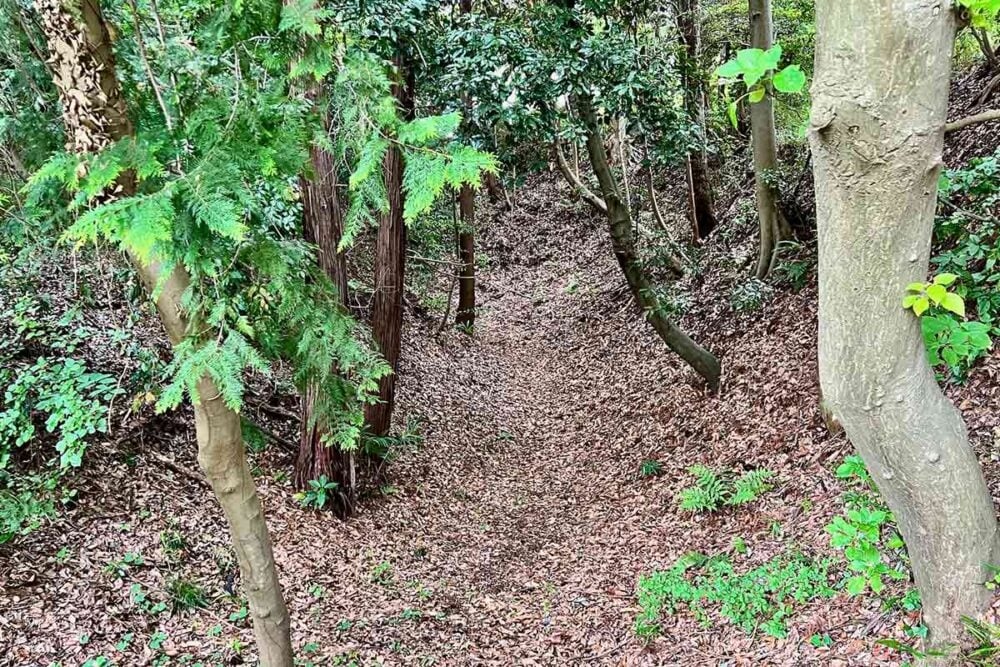 東西に横断するように張り巡らされている3本の空堀は、現在でもかなりの深さで残されている