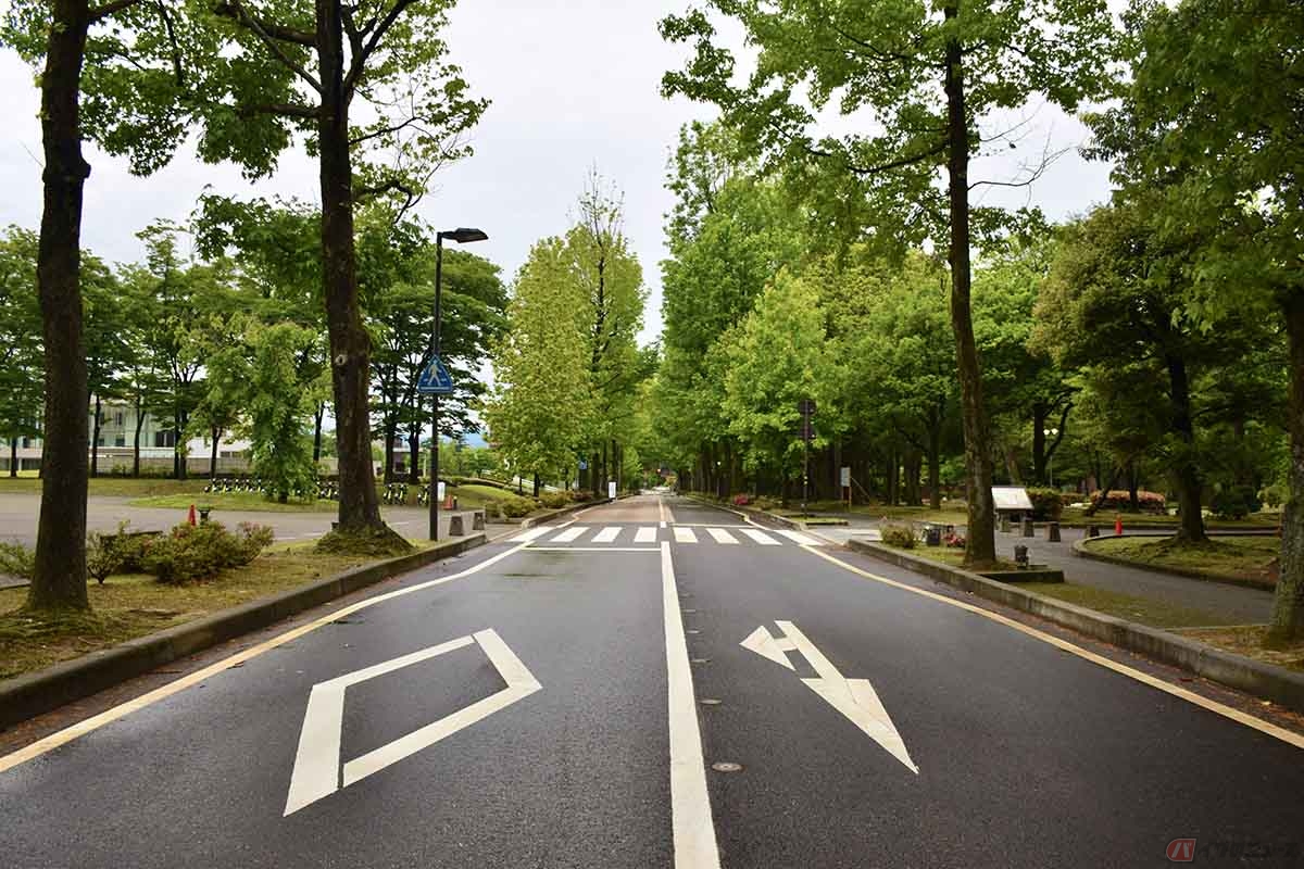 ひし形の道路標示は「ダイヤマーク」と呼ばれており、「この先に横断歩道または自転車横断帯があります」ということを事前に知らせるための予告表示