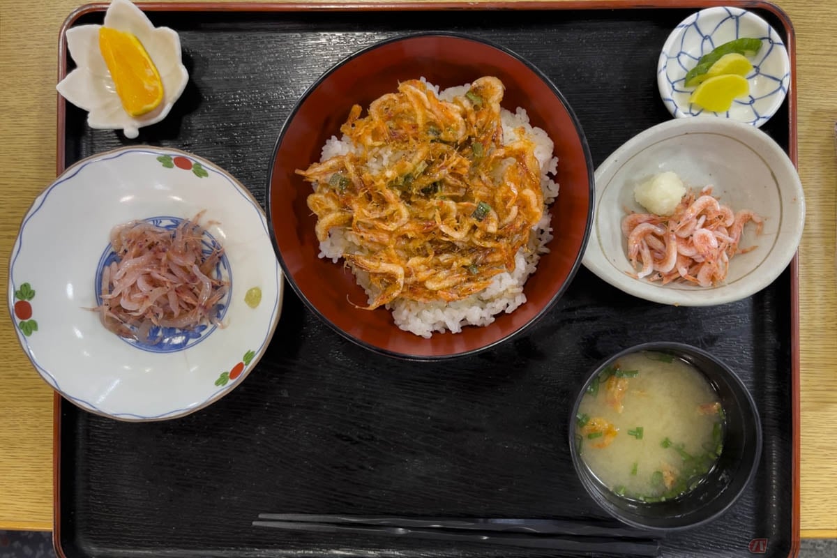 生桜えびと釜揚げ桜えびがセットになった玉鉾のおすすめ定食。お店のおかあさんに相談し、白飯をかき揚げ丼に変更してもらいました