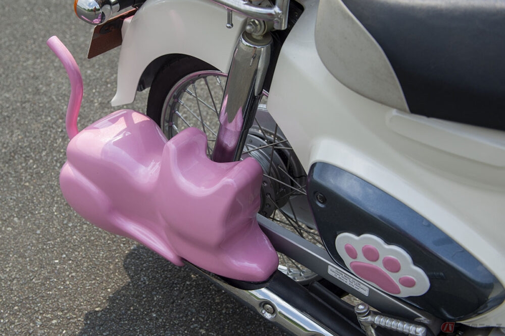 20250707_nekocub_07-1000x667. 20250707_nekocub_07-1000x667.