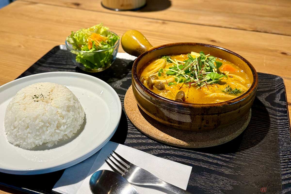 グツグツと湯気をあげて提供される、「山荘しらさ」の具沢山スープカレー