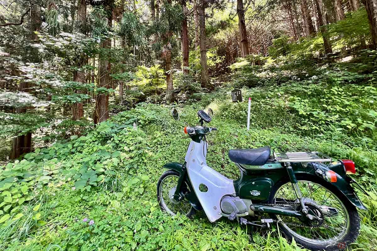 地元の方に許可を得て、邪魔にならない場所にバイクを停めてから散策を開始