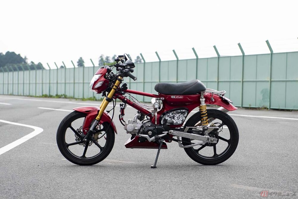 20250811_cub_custom_05-