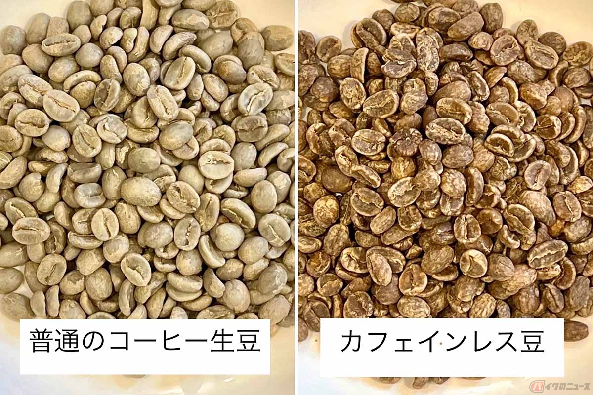普通のコーヒー生豆とカフェインレス豆の比較。もともとカフェインレスの生豆は存在していないため、収穫したコーヒー生豆に特殊な処理をしてカフェインを抜いています