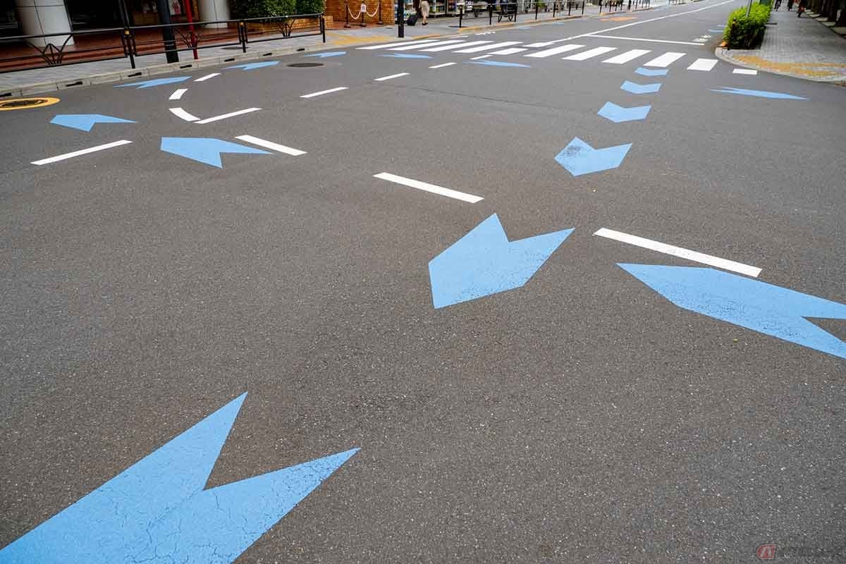 政府は自転車専用道路や車道上の自転車レーンの整備延長を、現在の9841kmから2030年度に合計1万2000kmまで増やす方針