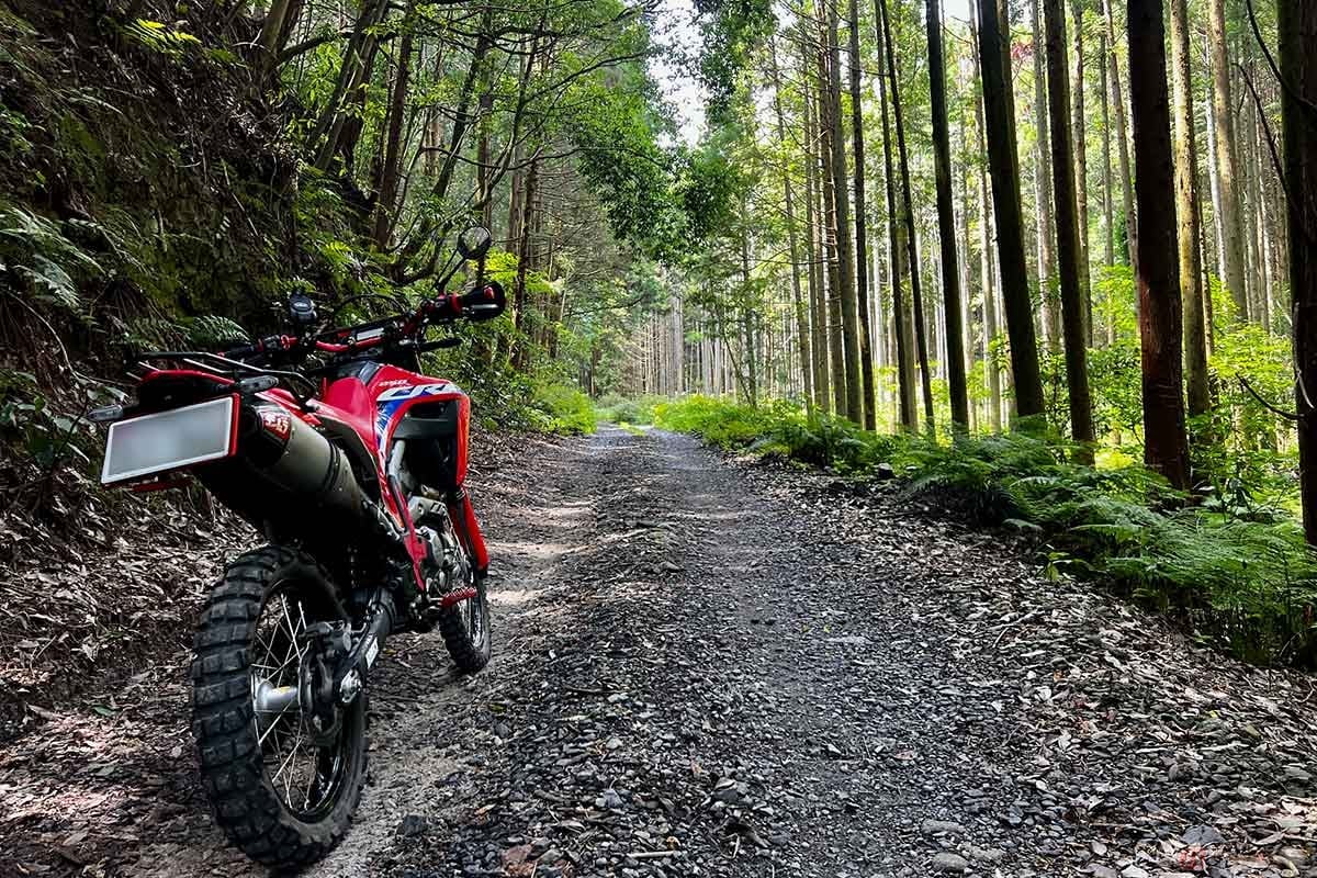 林道に入った瞬間にテンションが上りがちだが、安全第一で慎重に運転することが大事