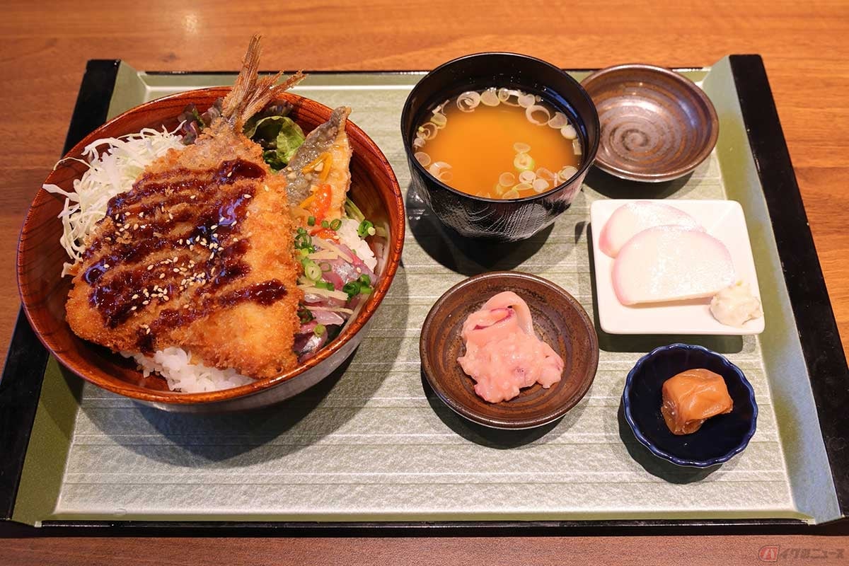 「銀座ライオン 小田原トザンイースト店」の『小田原「鯵三昧」丼~小田原どん~』は、アジフライ以外にも鯵料理が楽しめるだけでなく、小田原名産も食べられる