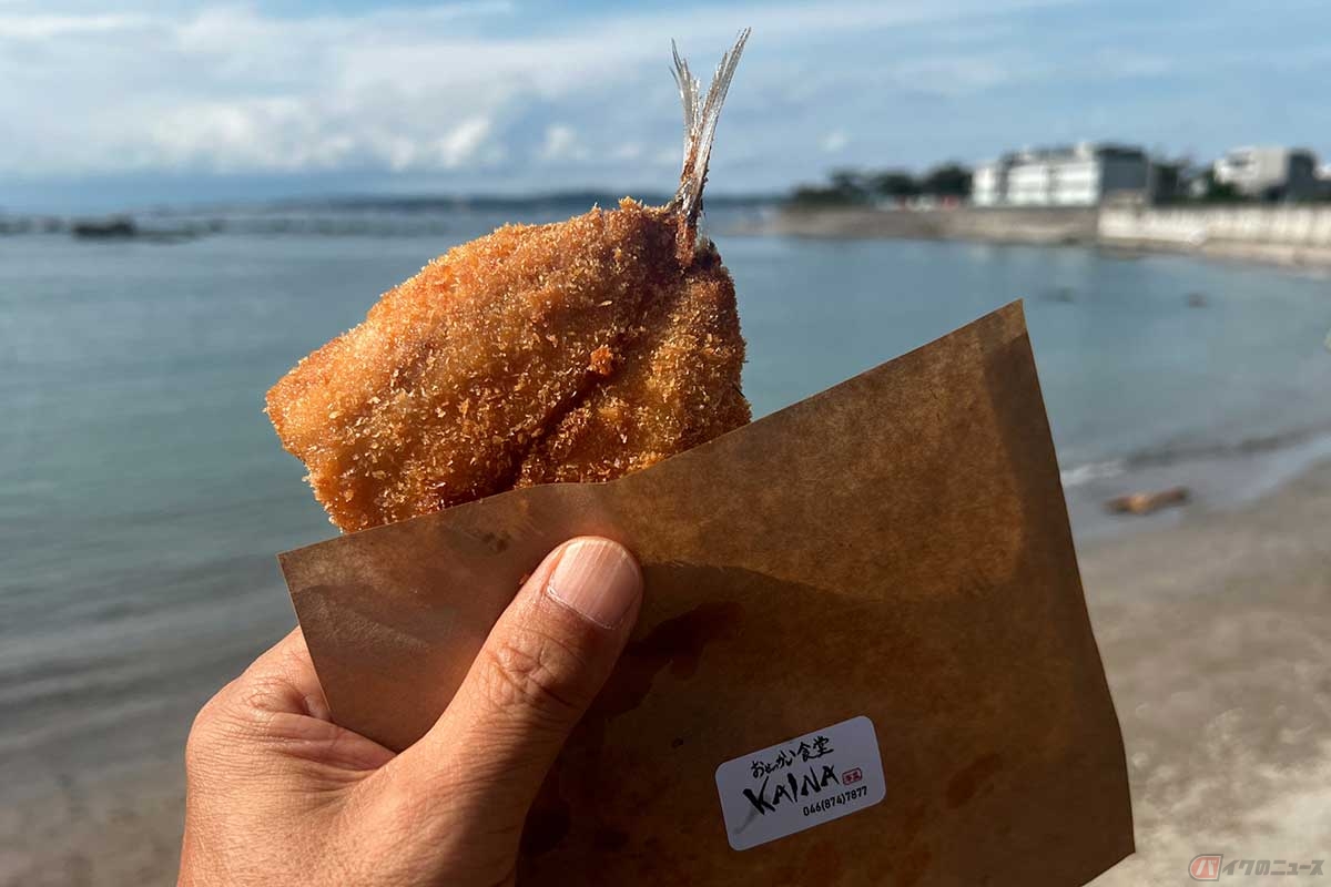 葉山の海をバックに「おせっかい食堂」の「究極のアジフライ」をいただくという最高のシチュエーション。変わらない味と景色に大満足