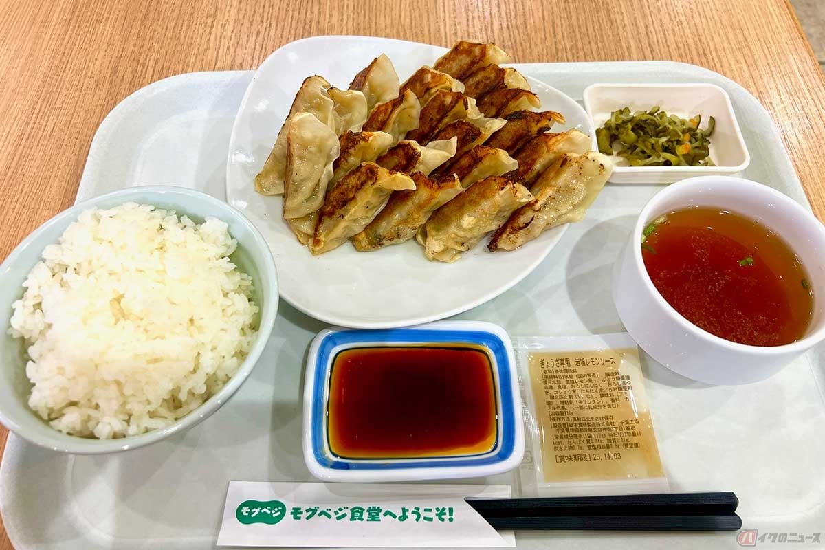 首都高「八潮PA」で期間限定のオリジナルメニュー「ぎょうざ20個定食」(1080円)を実食。立てて並べられた20個の餃子は圧巻の光景