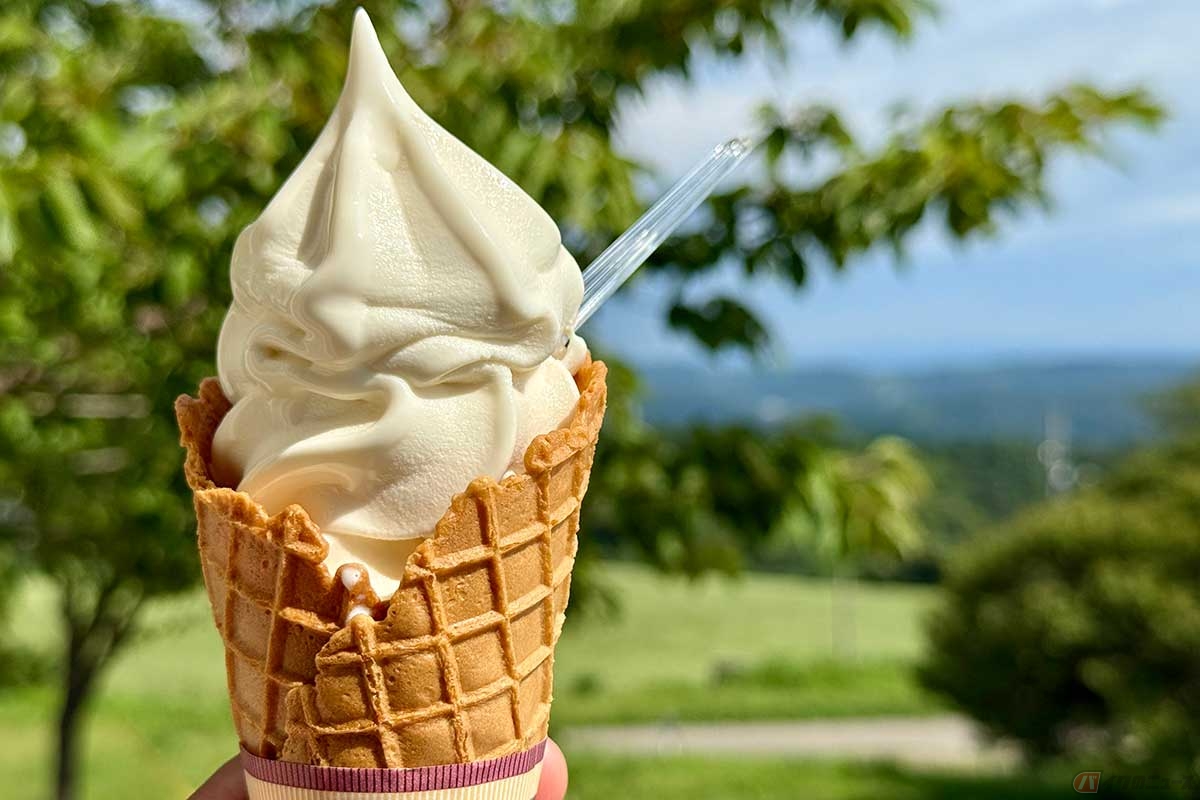 牧場ならではのご褒美。ヒルクライム後のソフトクリームは絶品です