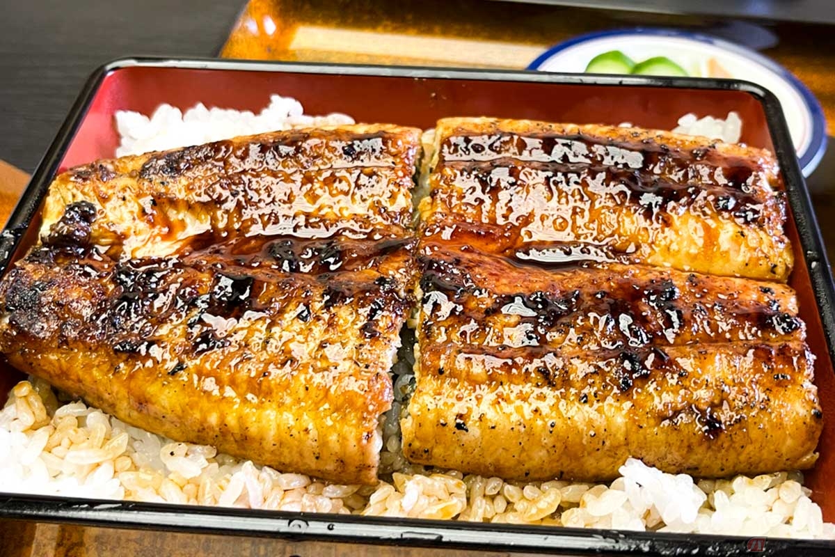 高知県へツーリングに行ったら、佐川町にある「大正軒」の鰻重がオススメ