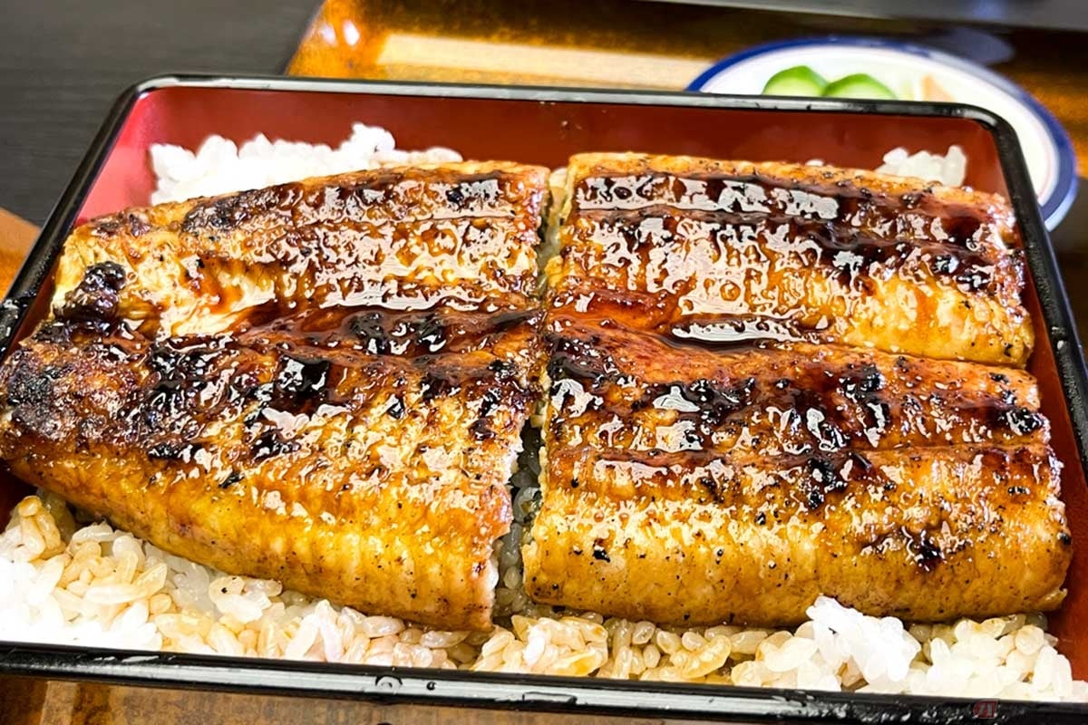 高知県へツーリングに行ったら、佐川町にある「大正軒」の鰻重がオススメ