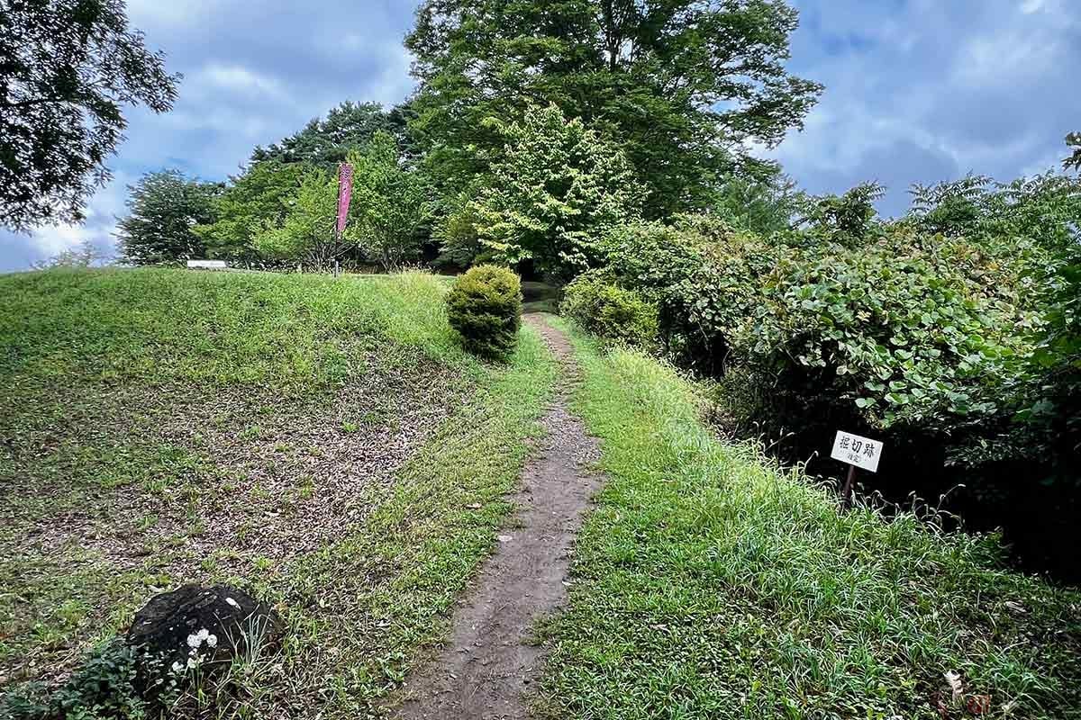 散策開始からすぐに現れた「堀切」の跡。ほぼ平坦な道なので「堀切跡」の看板がなければ見過ごしていたかもしれないが、こういう遺構に城好きの血が騒ぐ
