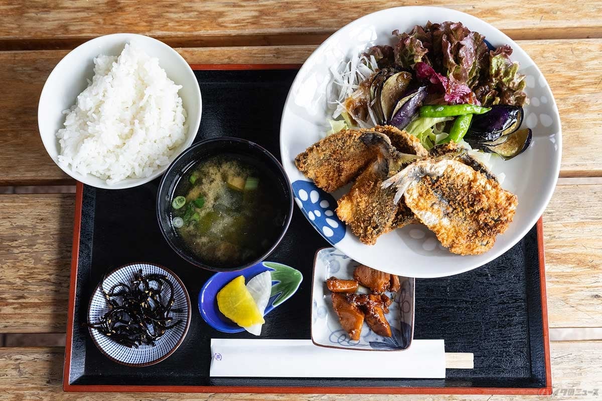 「ウミガメカフェ」の「アジフライ定食」は、片瀬漁港直送の鯵を使用。この日は小さめということでアジフライ3枚と、イワシフライ1枚