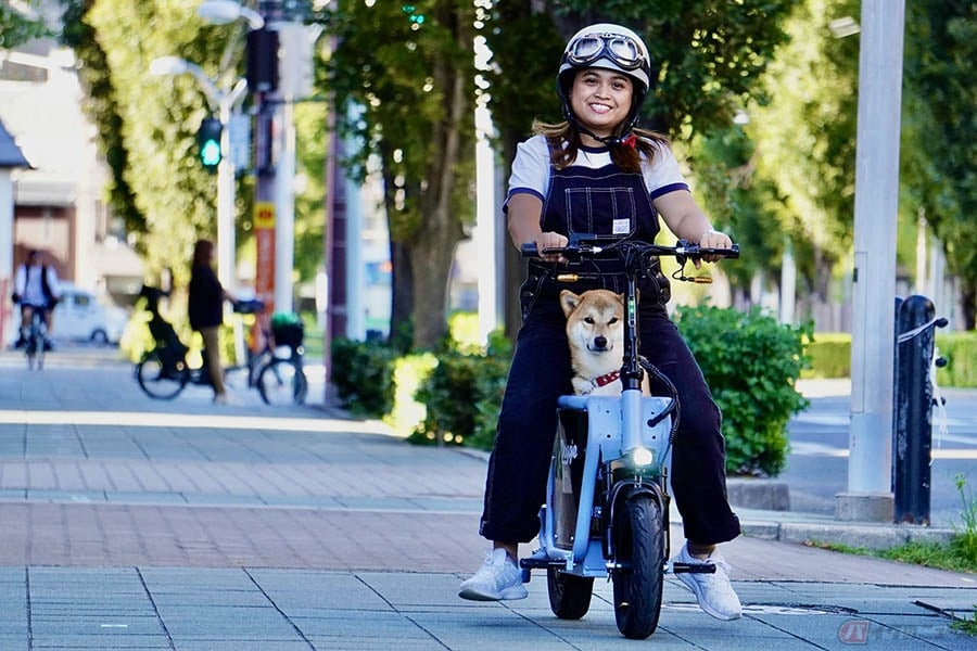 Doggie特定小型原付モデルに柴犬が乗っている走行写真(バイクのニュース)