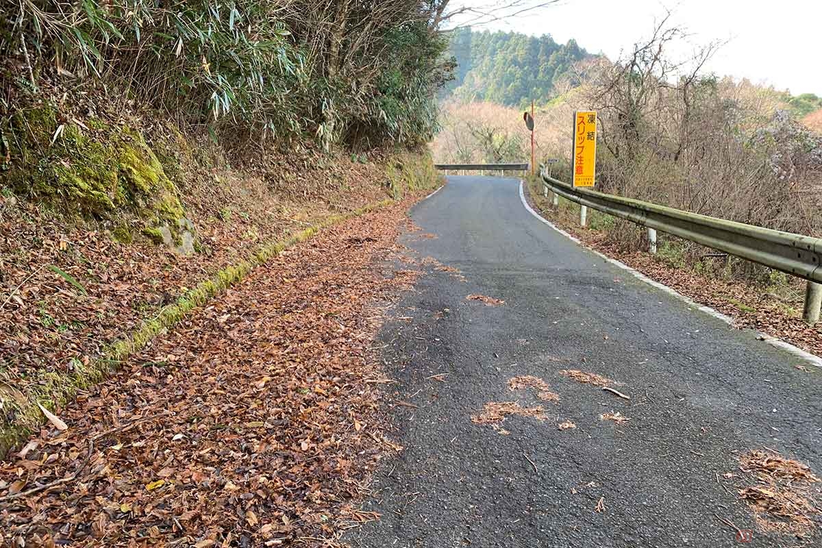 ツーリングに最適な紅葉シーズン。道路上の落ち葉に要注意