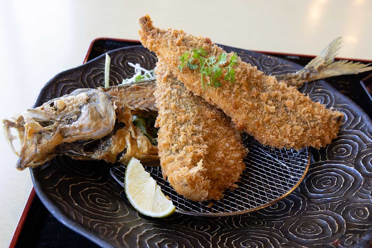 「風と海 関乃市」(大分県大分市)の「豊後アジフライ」。かなりの大きさで厚みもある。頭から尾までを揚げた骨せんべいまで一緒で「豊後アジ」を1尾まるごといただくことに