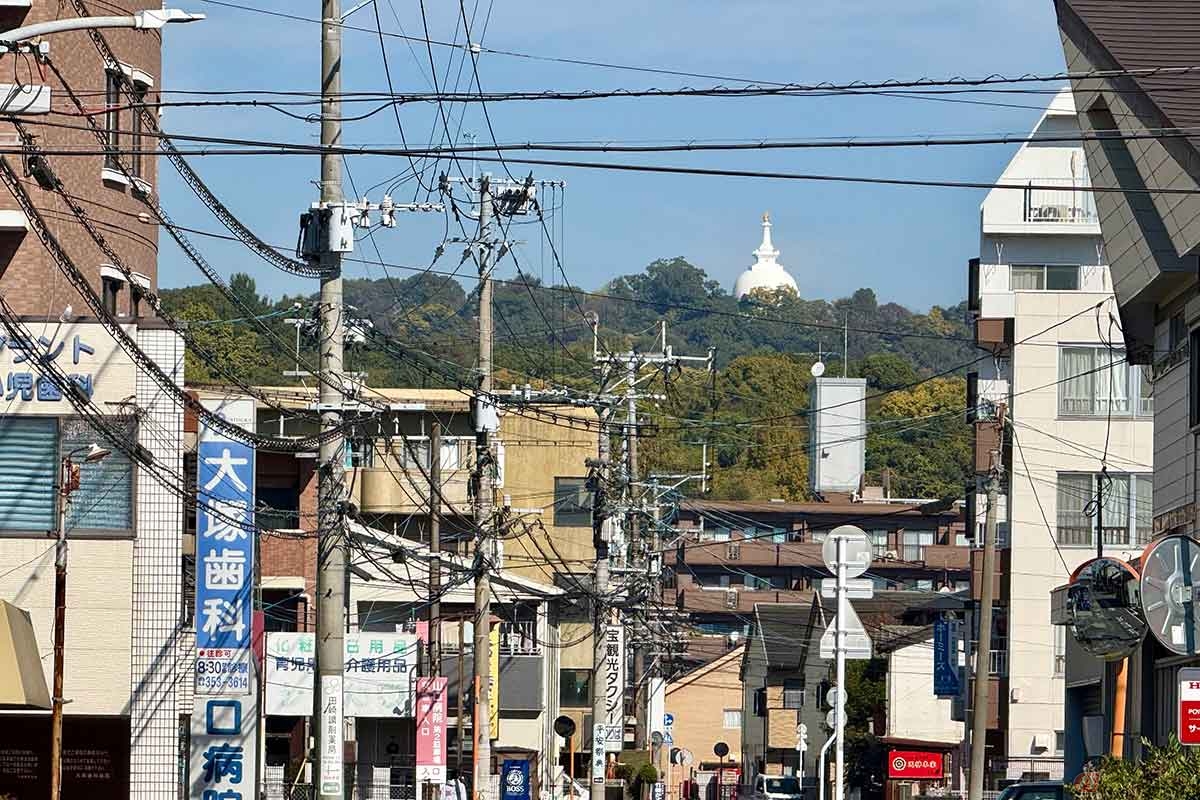 熊本市街地からでも一際目立つ、花岡山の真っ白な仏舎利塔