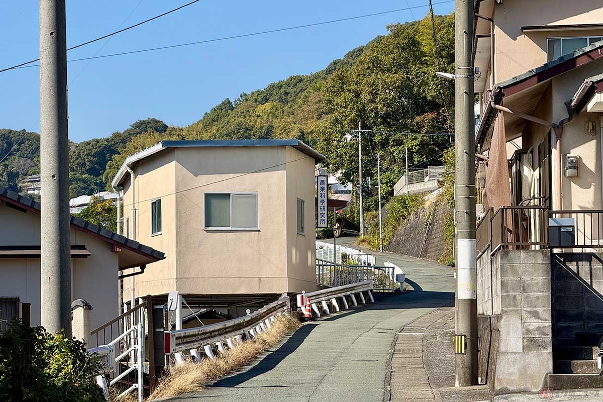 ヒルクライムのスタートは住宅街の中を登っていきます