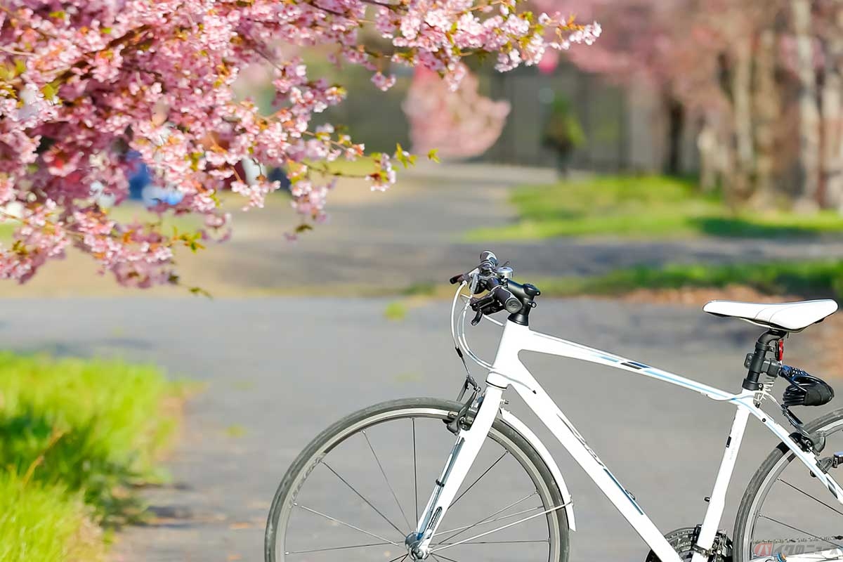 “自転車で朝活”のススメ