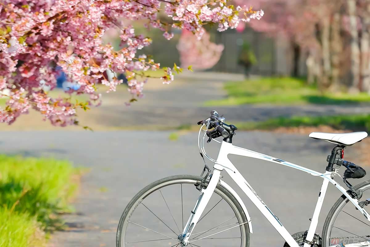 “自転車で朝活”のススメ