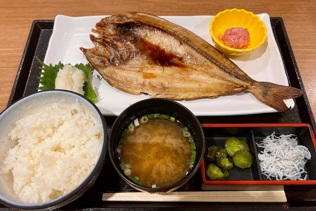 新東名「NEOPASA駿河湾沼津」のフードコートで、朝食に「ホッケの干物定食」(1500円)を実食。健康面でもメリットが多そうに感じる