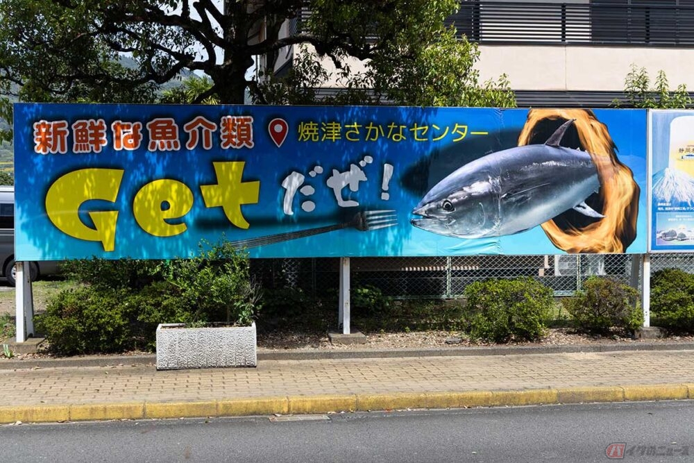 大きさと厚さが半端ない……焼津の漁港に揚がった魚が集まる市場で