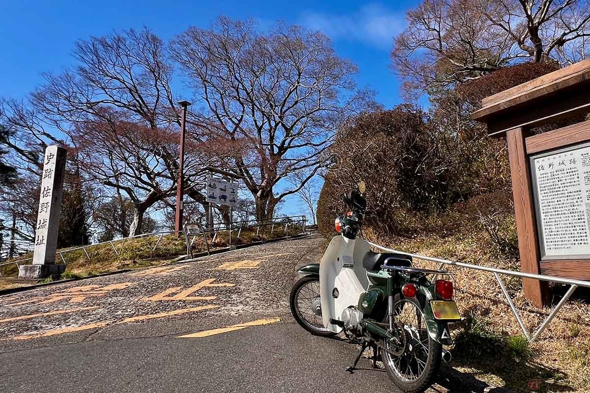 「JR佐野駅」の北に隣接する「佐野城跡」。城の主郭部だったところだけが当時の城割の姿を残して整備されている