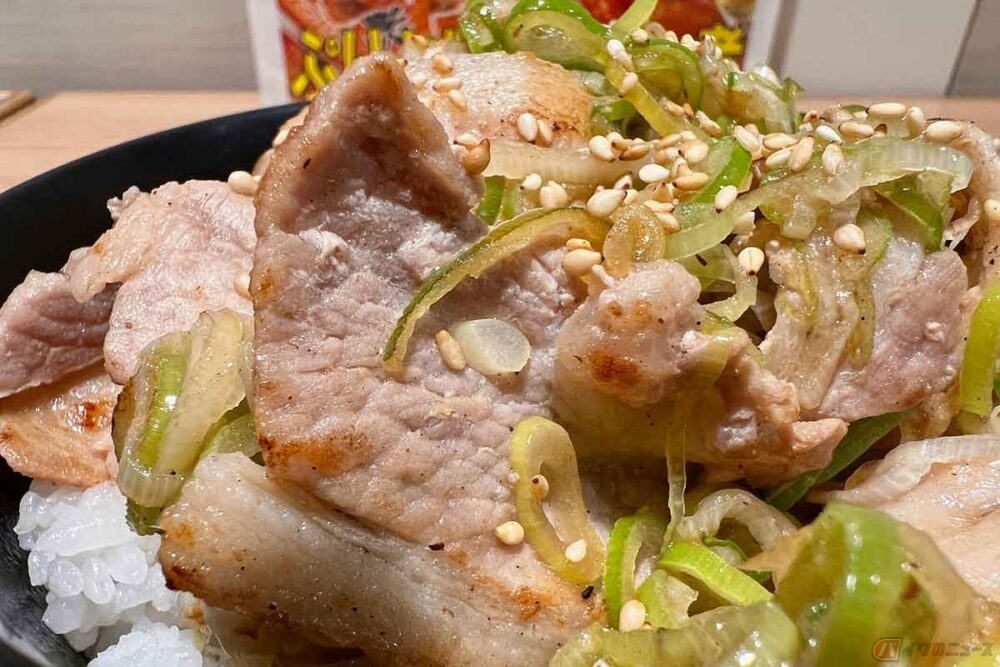 とりにく 名物「もつ煮」を横目に大正解!? 上信越道「甘楽PA」で見つけた絶品PA