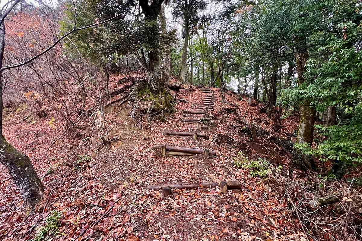 山登りにはかなり疲労を感じたが、山道は歩きやすく整備されている区間が多かった