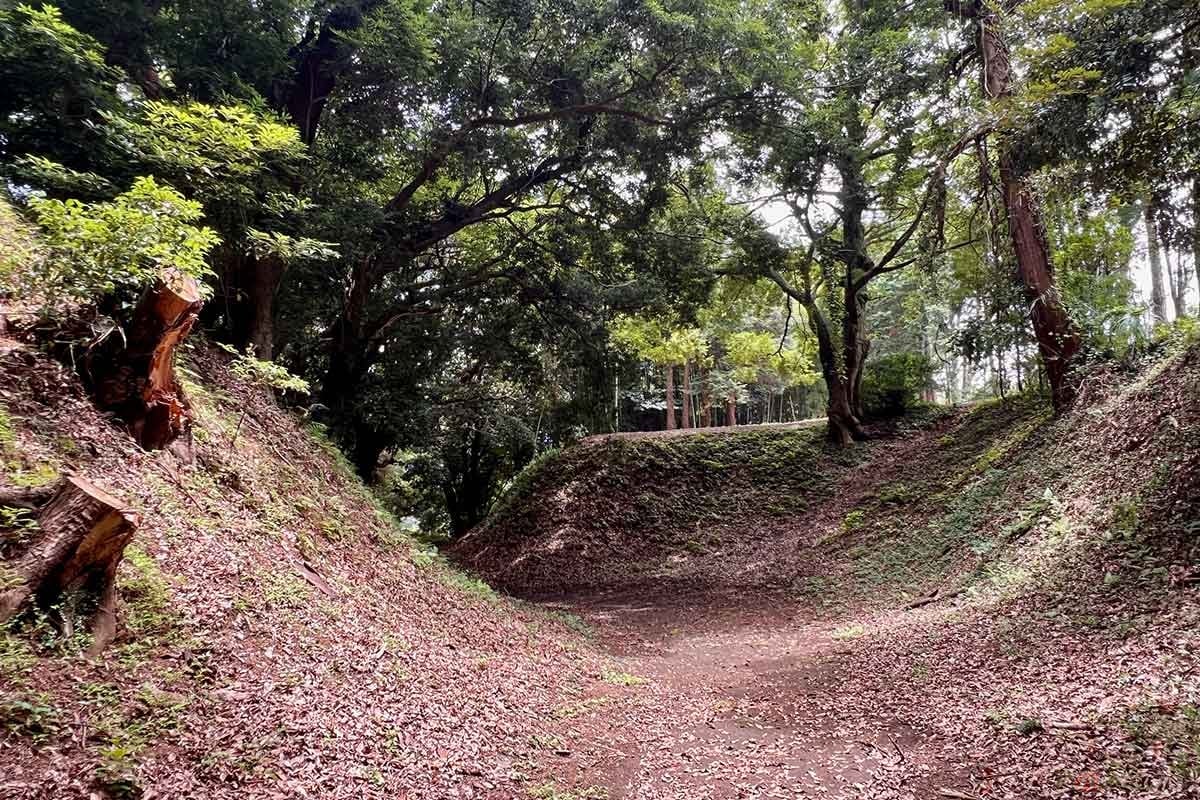 堀の形は複雑なものとされており、かつて訪れた北条の「滝山城」を思い起こさせるクランク状の土塁と堀も見られた。あらゆる角度からの攻撃に晒されそうな感覚に陥った