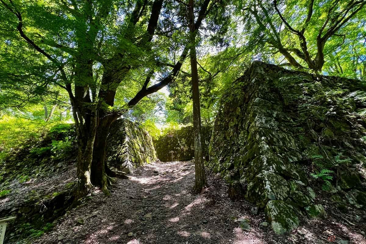 壺阪口門跡に至るまでに山中に残る石垣を見ることができた。登城路の途中で突然現れる城郭遺構に、この城の規模を実感できる